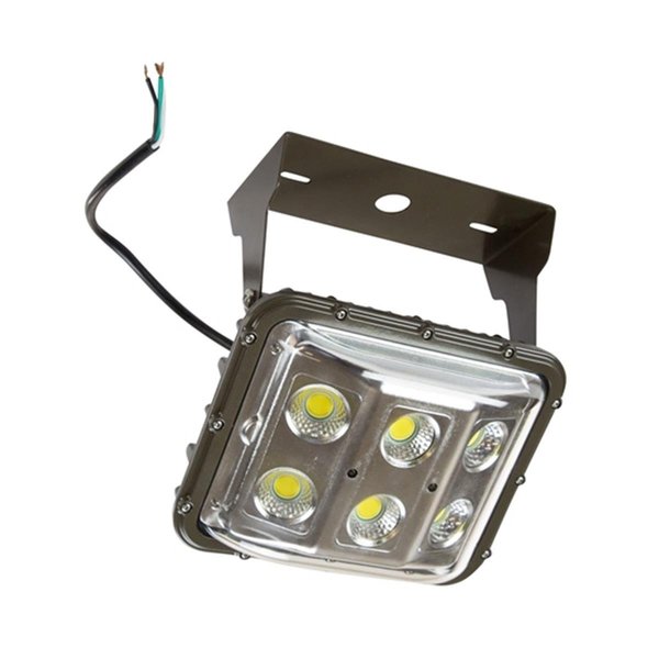 Newalthlete 60 watt Low Canopy LED & Bay Light with Glare ShieldLow Bay Fixture NE656546